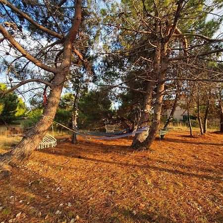 Apartmani Bellevue Vir Exterior foto